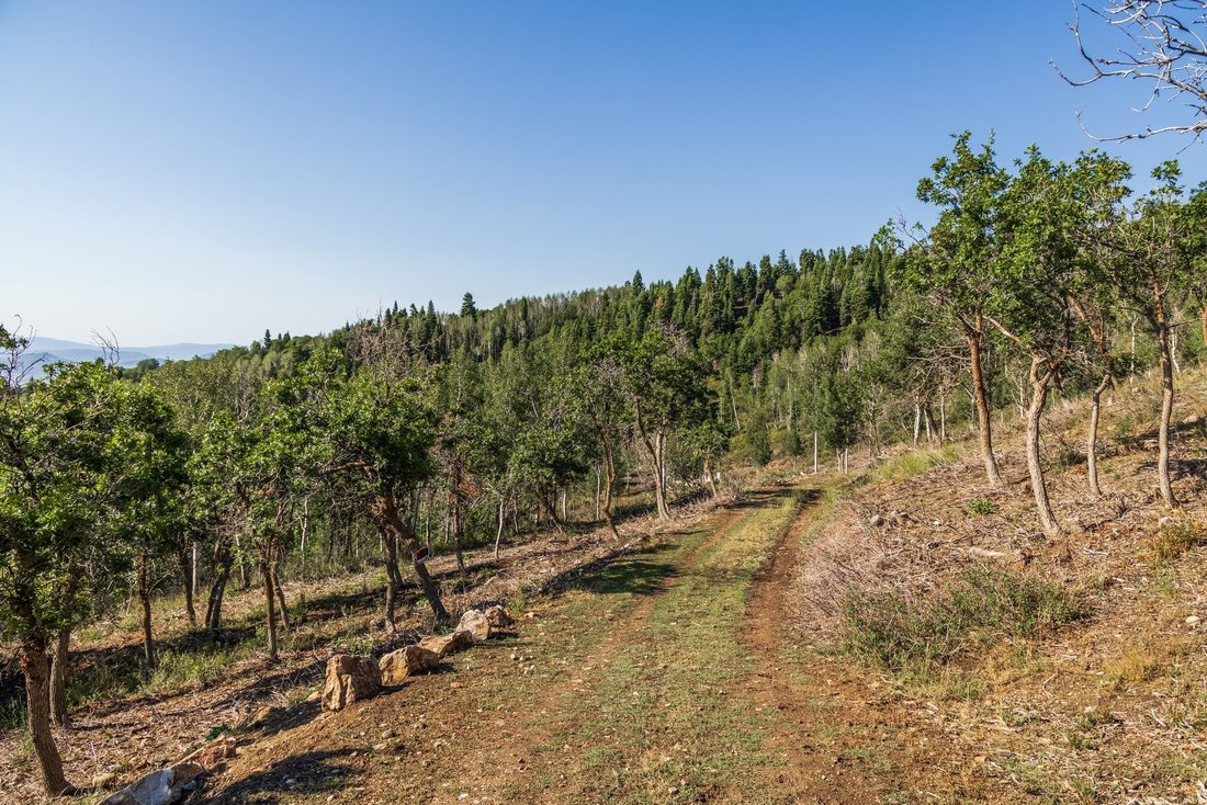 Land in Park City, Utah, United States 5 - 18607436