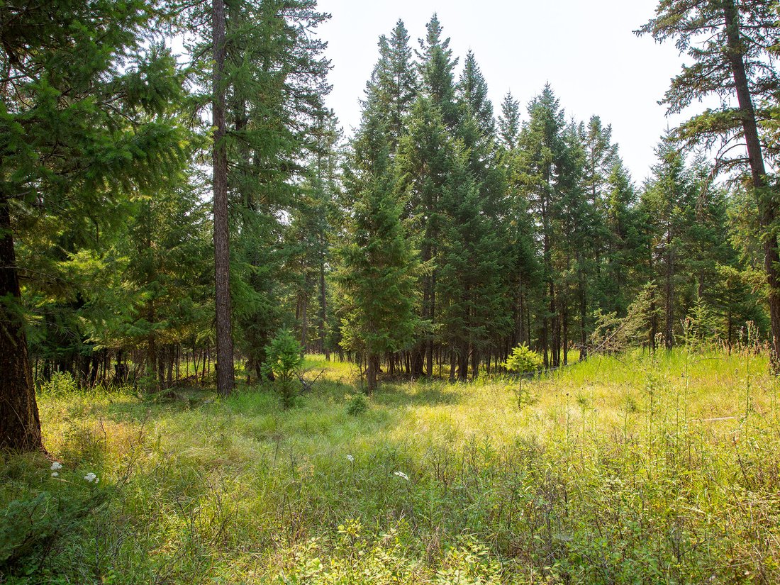 Land in Kalispell, Montana, United States 4 - 18606993