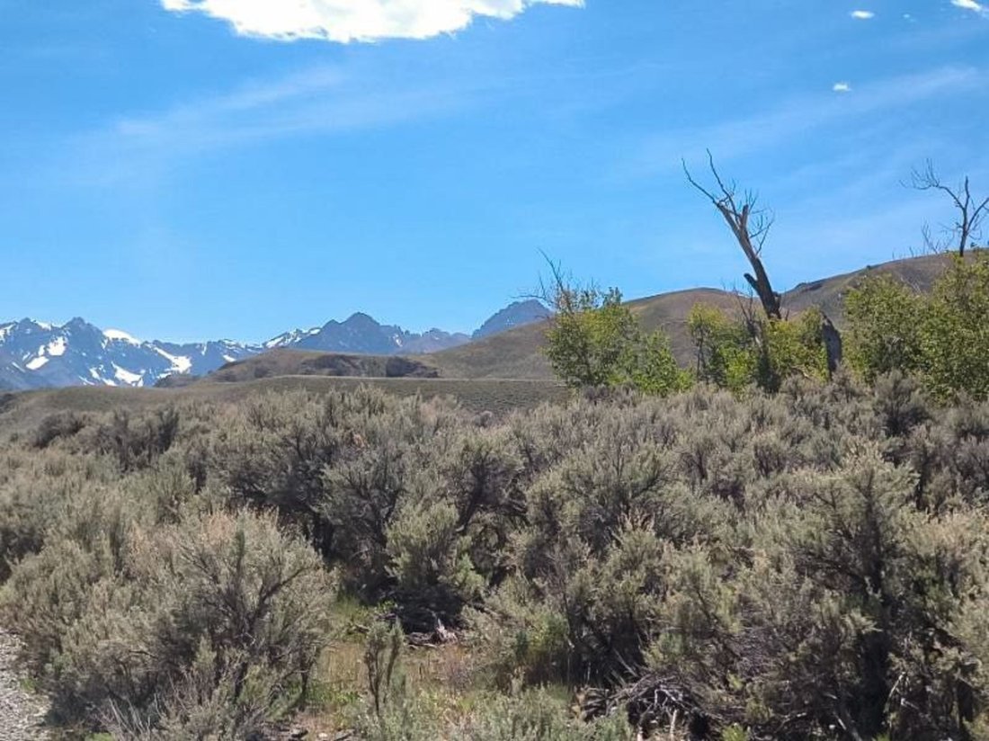 Land in Stanley, Idaho, United States 4 - 18606966