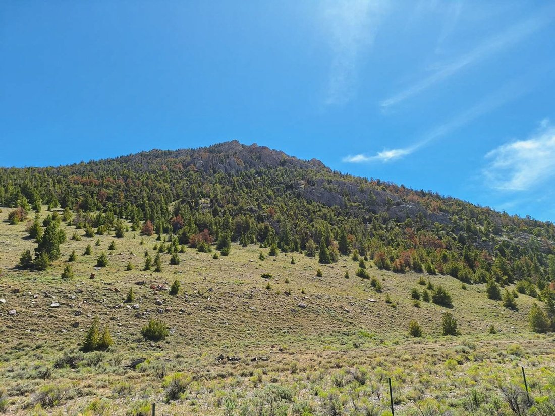 Land in Stanley, Idaho, United States 2 - 18606966