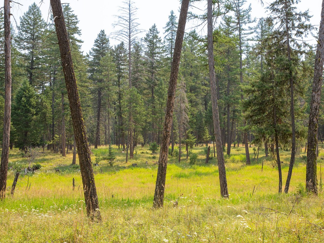 Terreno a Whitefish, Montana, Stati Uniti 5 - 18607183
