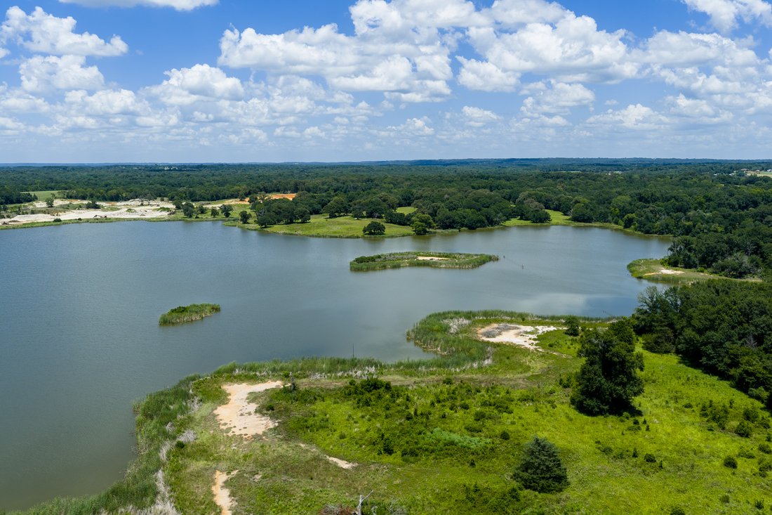 Farm Ranch in Palestine, Texas, United States 1 - 18607358