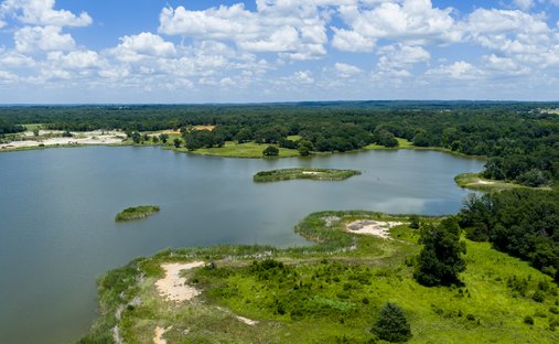 Farm Ranch in Palestine, Texas, United States 1