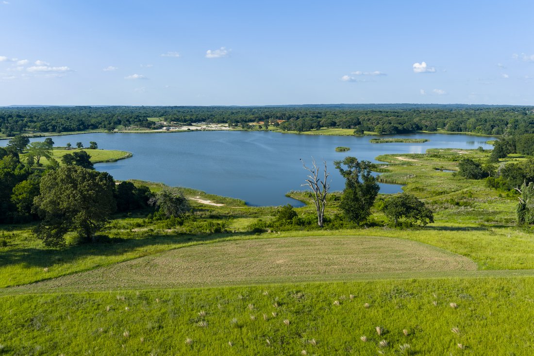 Farm Ranch in Palestine, Texas, United States 5 - 18607358