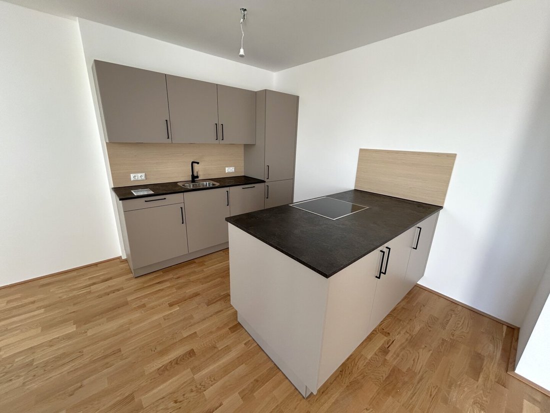 Apartment in Linz, Upper Austria, Austria 5 - 16436086