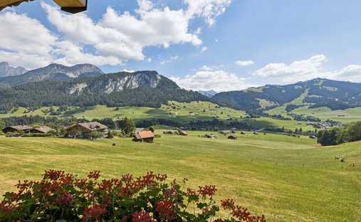 Apartment in Château-d'Oex, Vaud, Switzerland 1