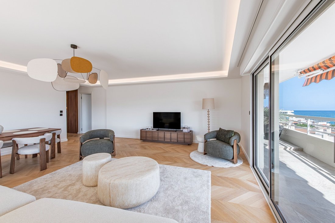 Apartment in Saint Jean-La Gare, Cagnes-sur-Mer, France 2 - 18607426