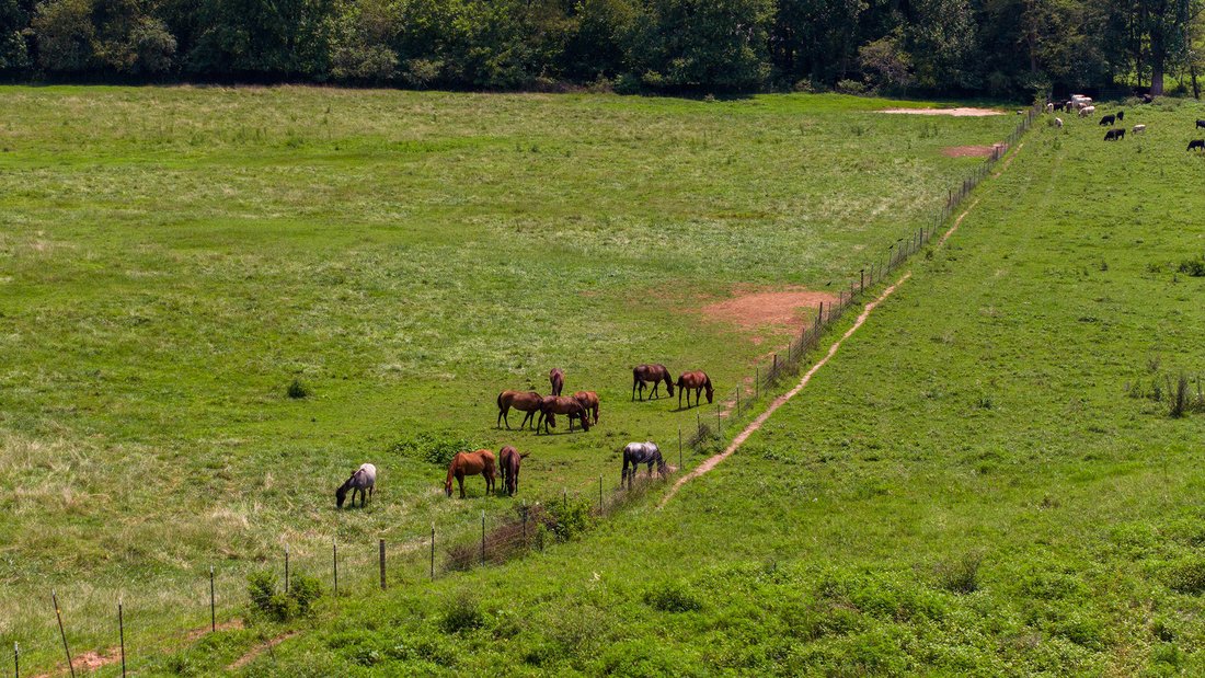 Land in Hayesville, North Carolina, United States 2 - 18608217