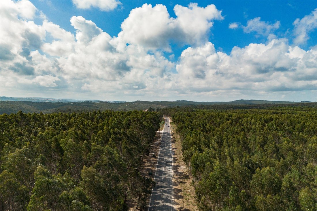 Land in Santa Maria, Sao Pedro e Sobral da Lagoa, Leiria District, Portugal 5 - 18607131