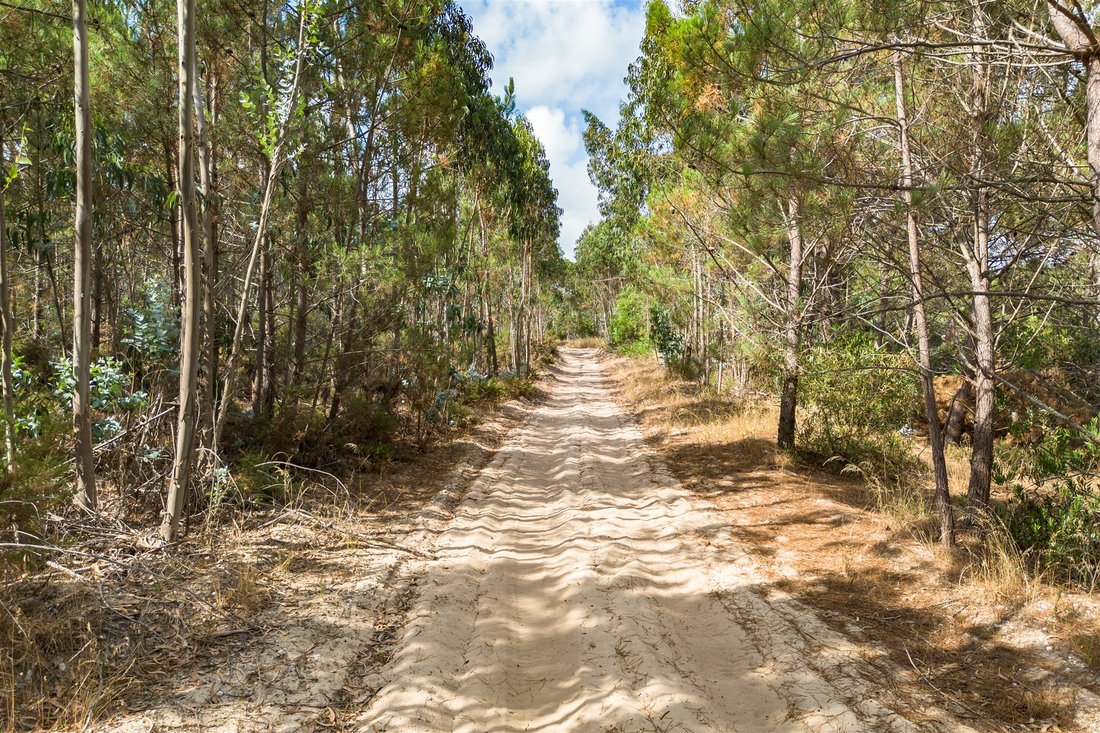 Land in Santa Maria, Sao Pedro e Sobral da Lagoa, Leiria District, Portugal 4 - 18607131