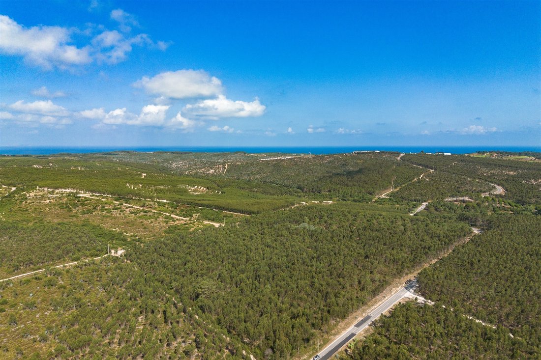 Land in Santa Maria, Sao Pedro e Sobral da Lagoa, Leiria District, Portugal 1 - 18607131