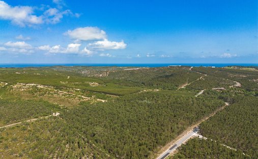 Land in Santa Maria, Sao Pedro e Sobral da Lagoa, Leiria District, Portugal 1