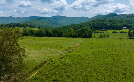 Land in Hayesville, North Carolina, United States 1