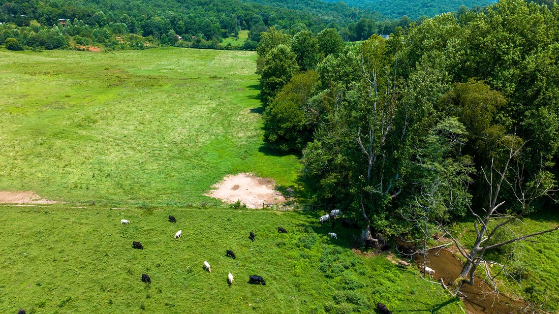 Land in Hayesville, North Carolina, United States 3 - 18608217