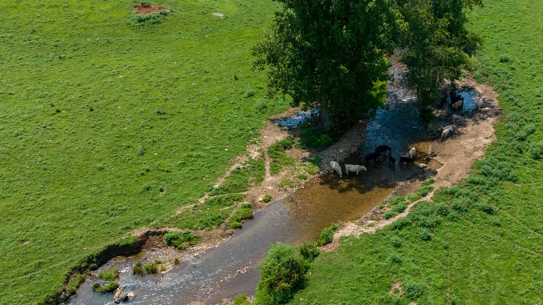 Land in Hayesville, North Carolina, United States 5 - 18608217