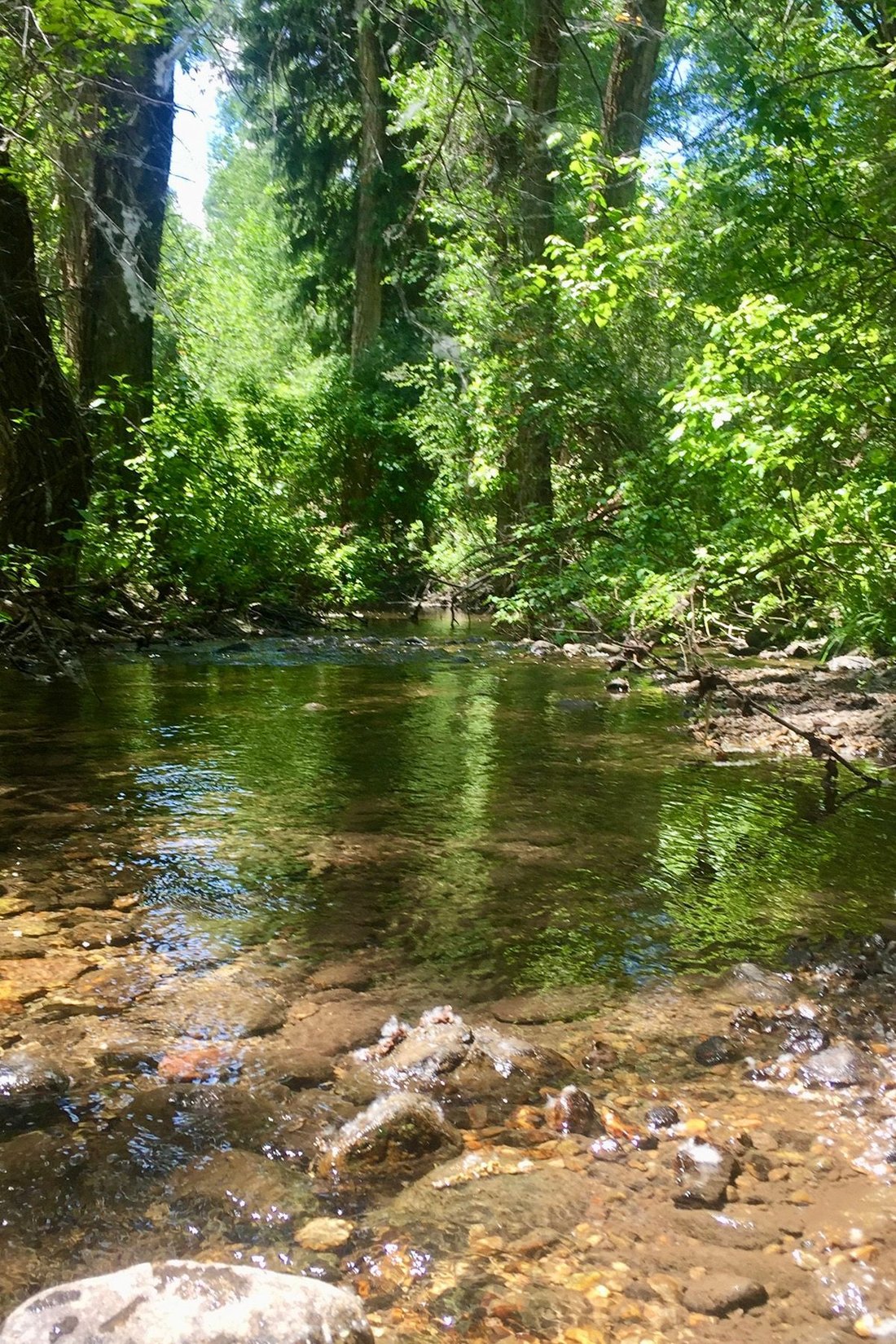 Land in Tetonia, Idaho, United States 4 - 18607638