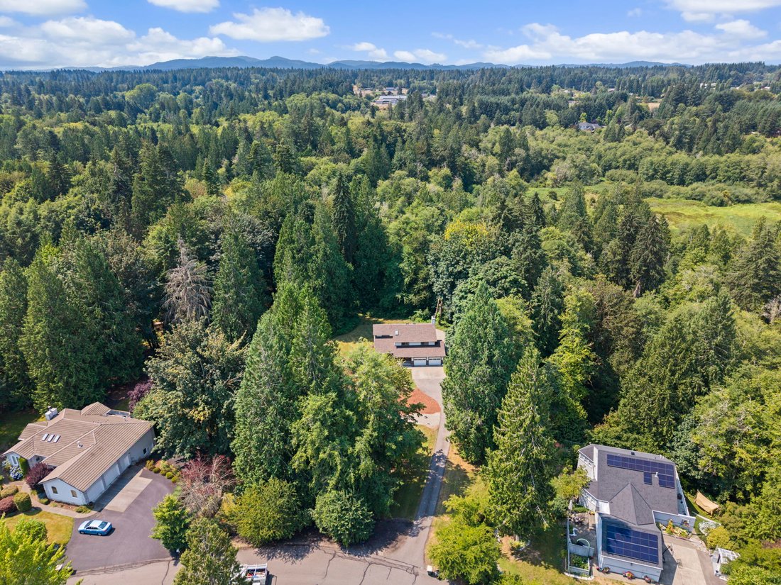 House in Olympia, Washington, United States 4 - 18607967