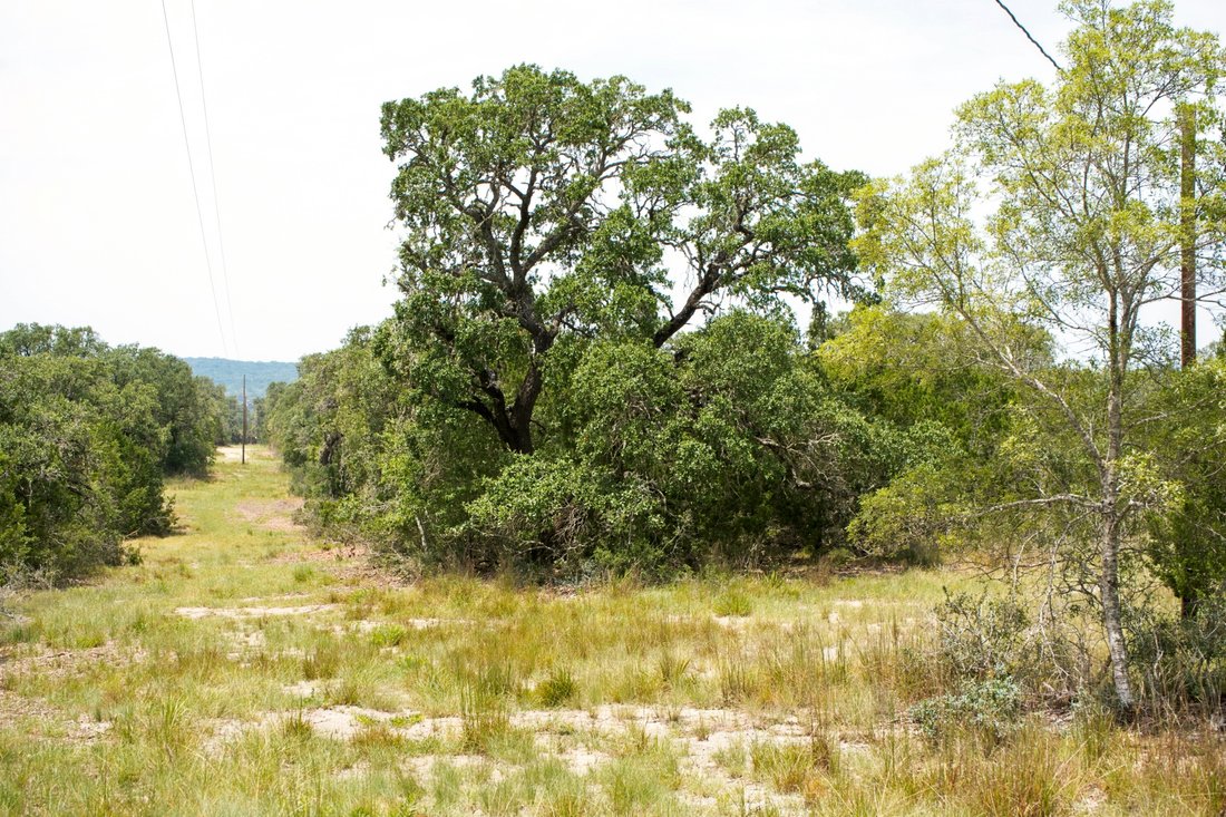 Farm Ranch in Bandera, Texas, United States 1 - 18607562