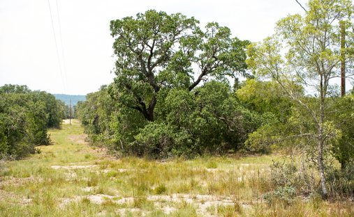 Farm Ranch in Bandera, Texas, United States 1