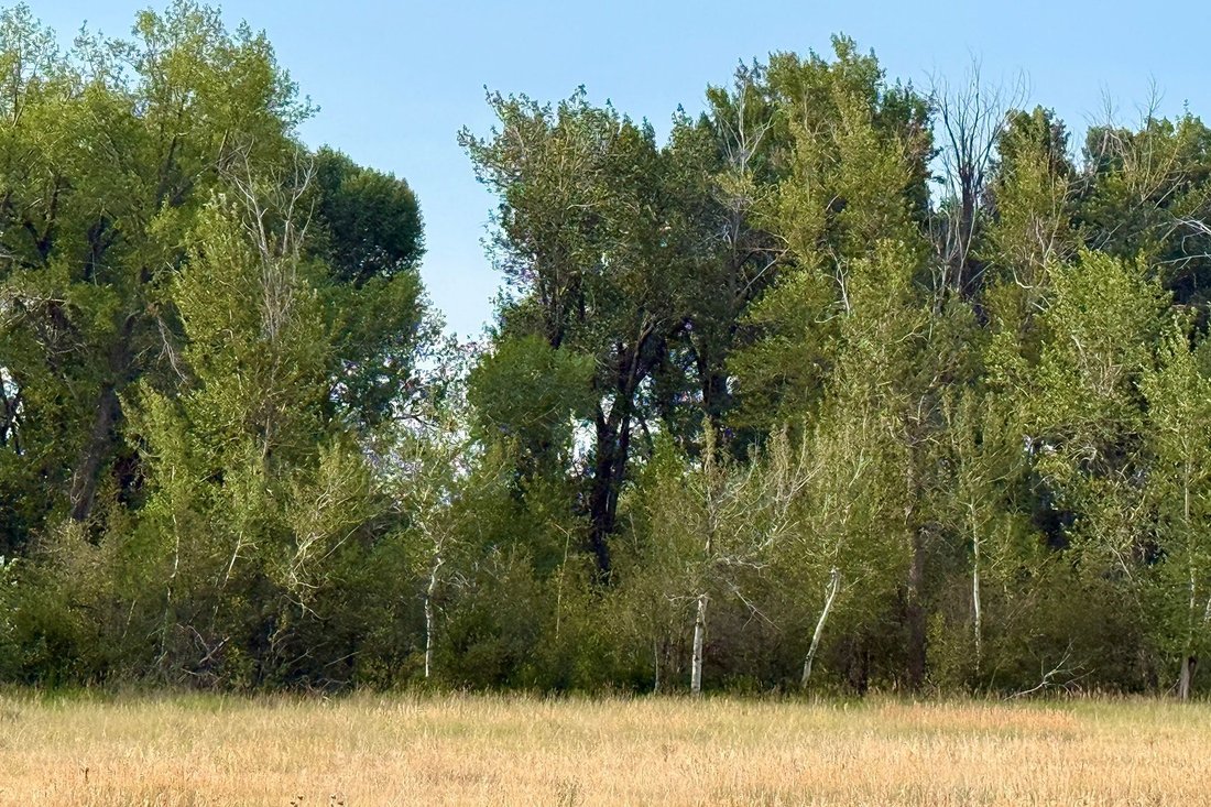 Land in Tetonia, Idaho, United States 5 - 18607638