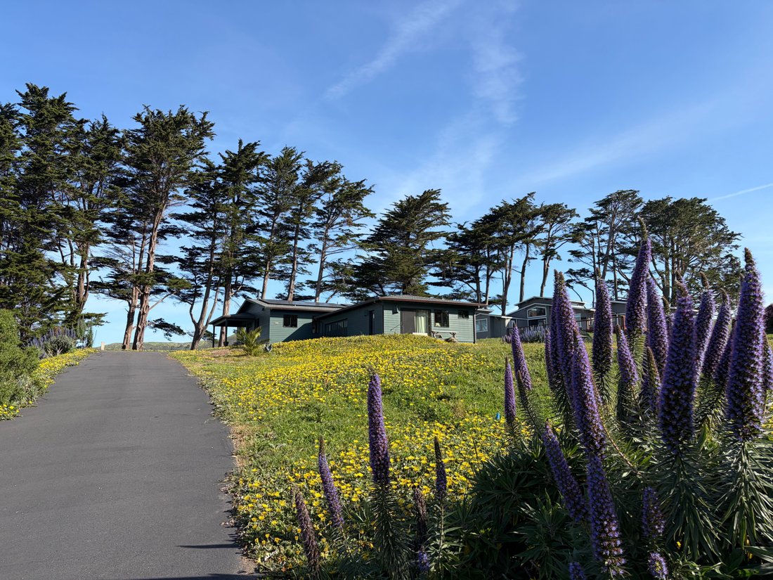 House in Bodega Bay, California, United States 2 - 18607953