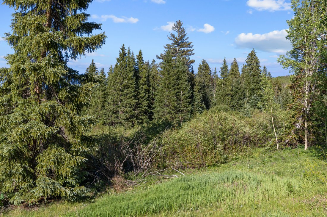 Mountain Village, Colorado, United States 5 - 17406449