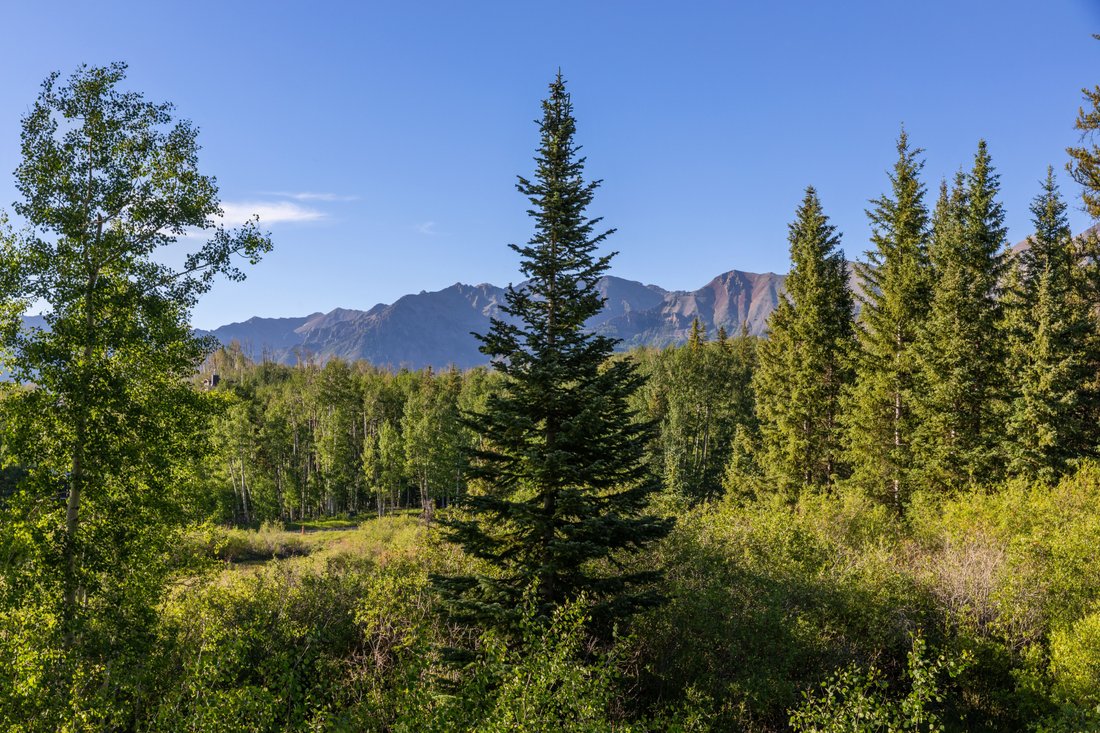Mountain Village, Colorado, United States 4 - 17406449