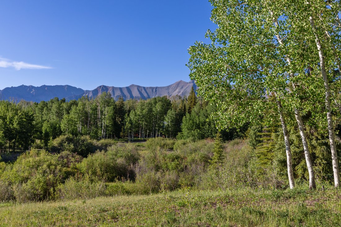 Mountain Village, Colorado, United States 1 - 17406449