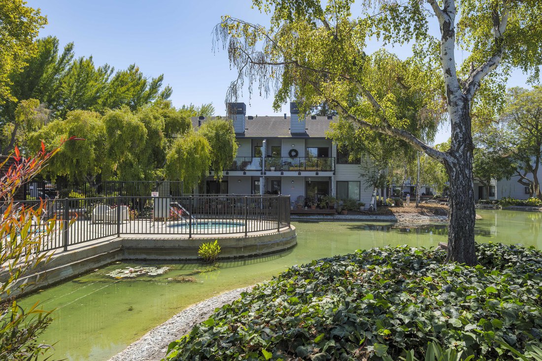 Condo in Mountain View, California, United States 1 - 18607682