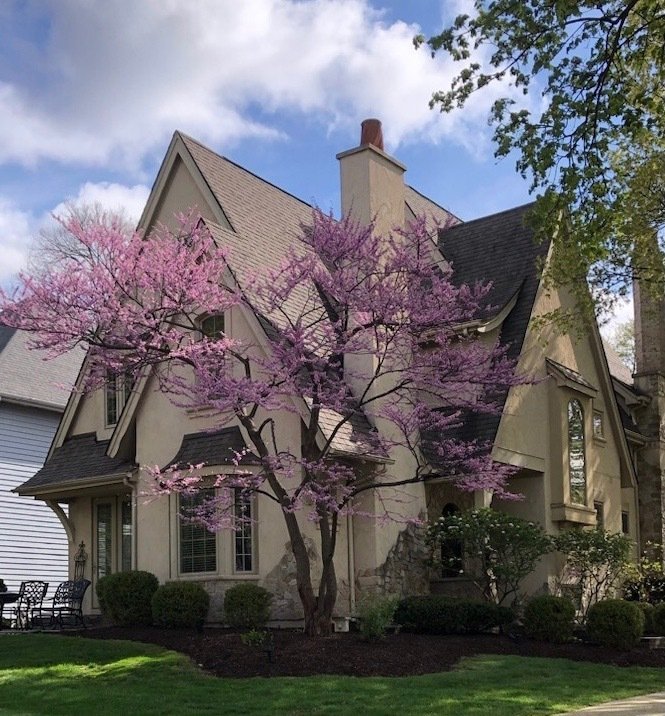 House in Naperville, Illinois, United States 1 - 18608290