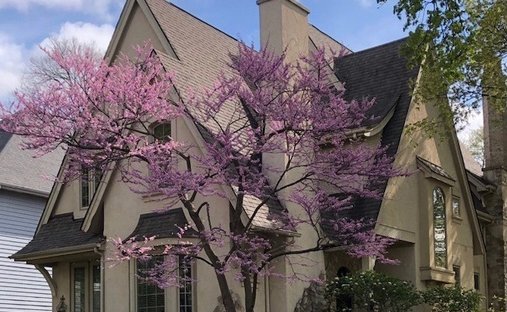 House in Naperville, Illinois, United States 1