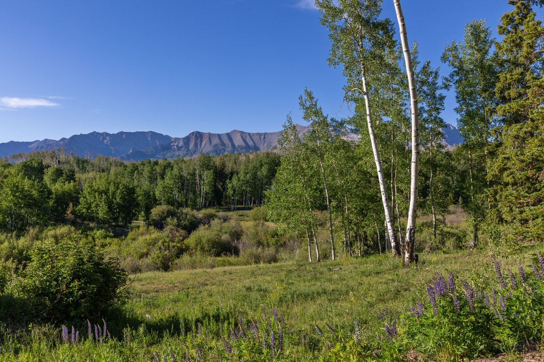 Mountain Village, Colorado, United States 3 - 17406449