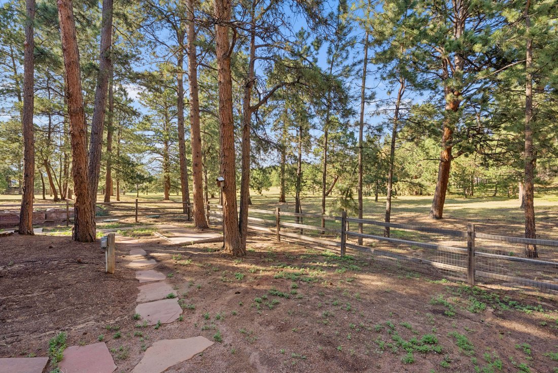 House in Colorado Springs, Colorado, United States 5 - 18607799