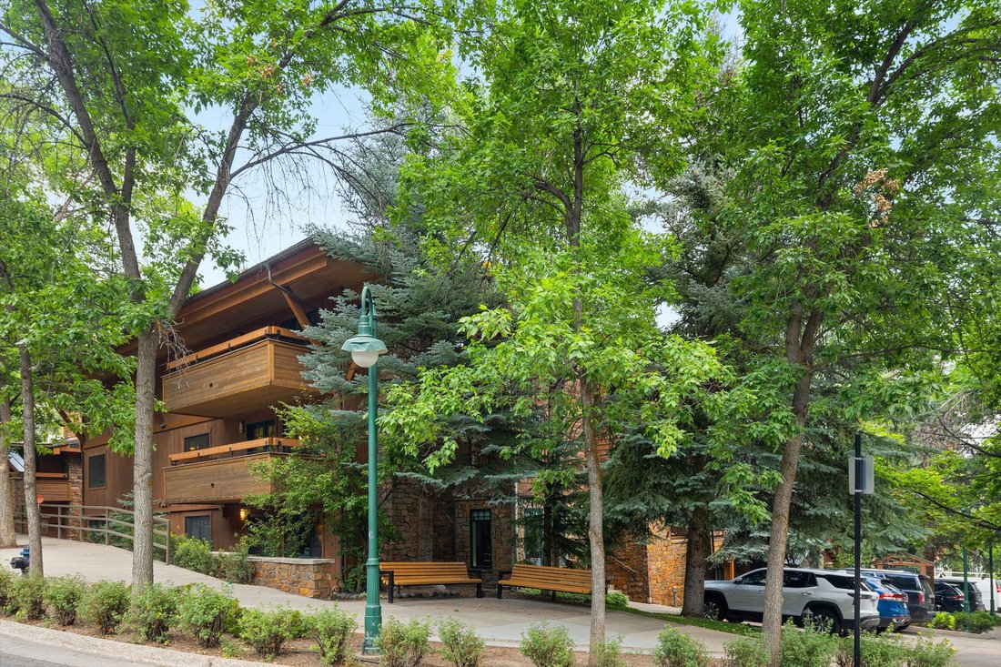 Condo in Aspen, Colorado, United States 1 - 18249863