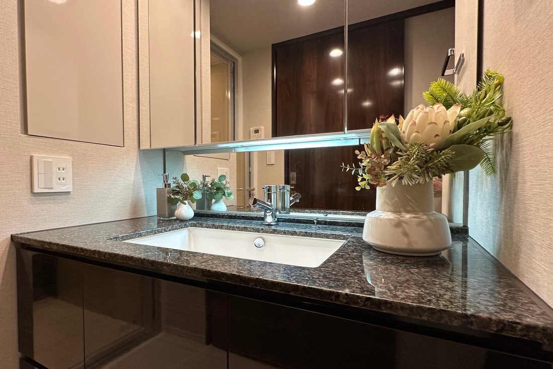 Condo in Minato City, Tokyo, Japan 4 - 18608218