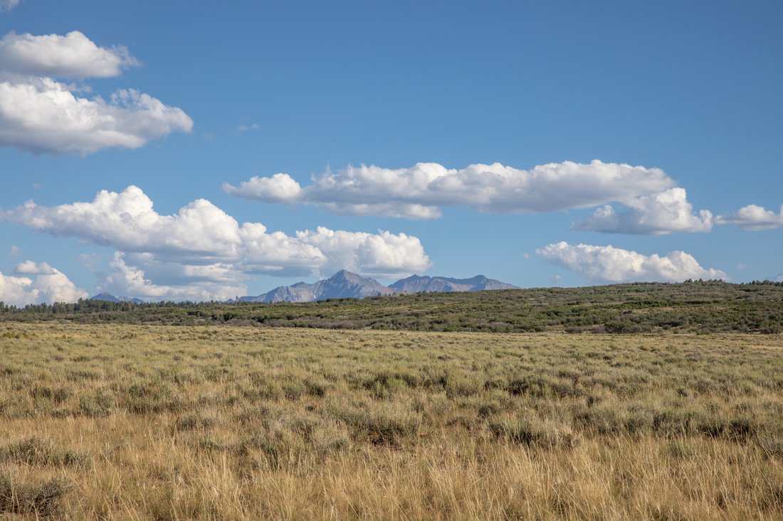 Land in Placerville, Colorado, United States 5 - 18607790