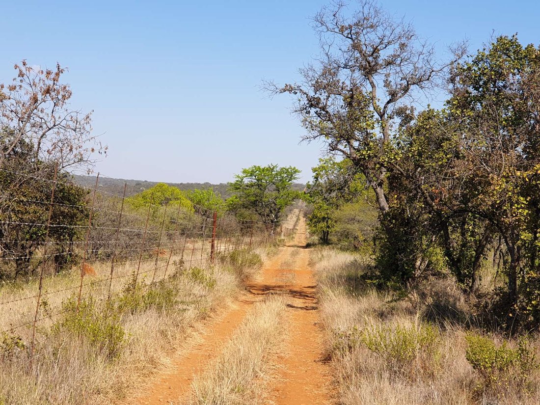 Farm Ranch in Johannesburg, Gauteng, South Africa 2 - 18608675