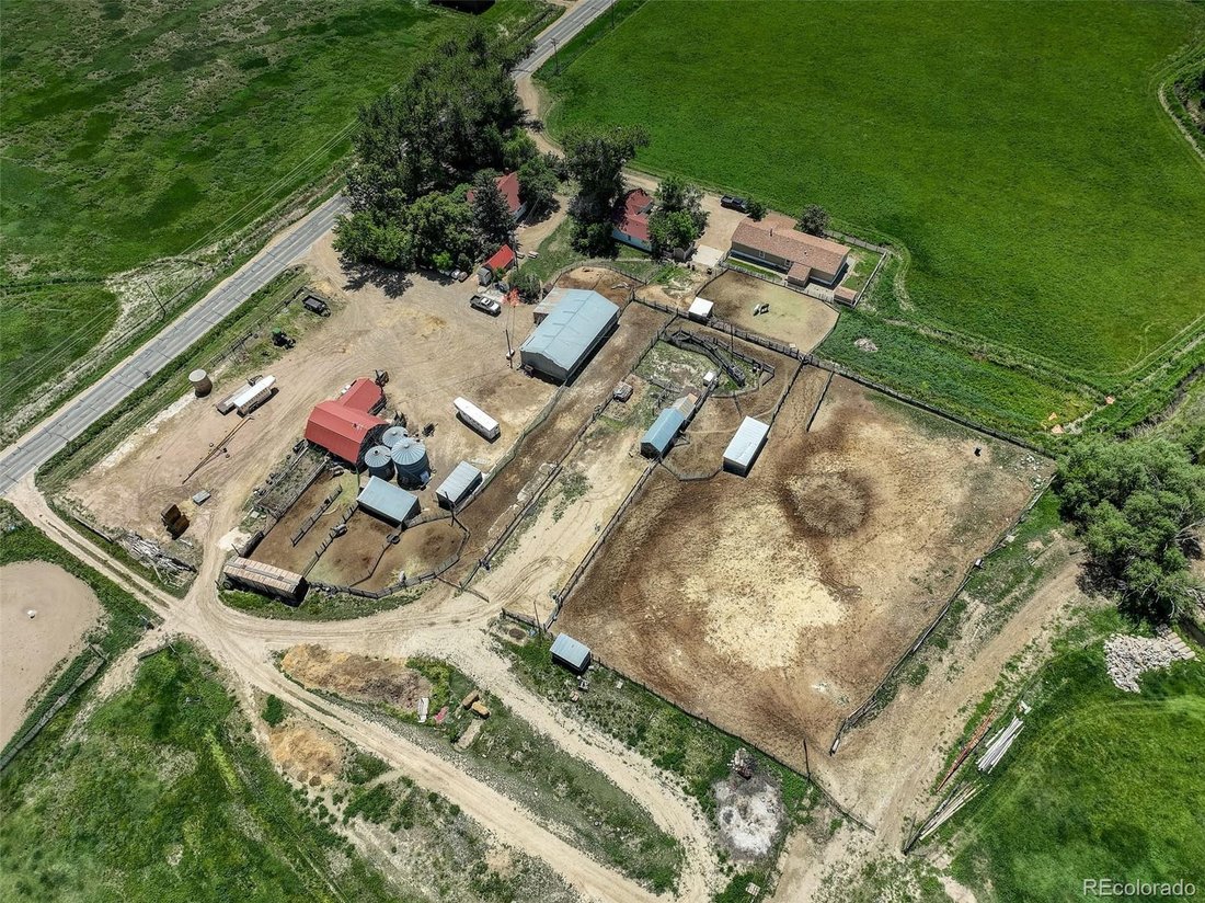 Farm Ranch in Longmont, Colorado, United States 2 - 16875236