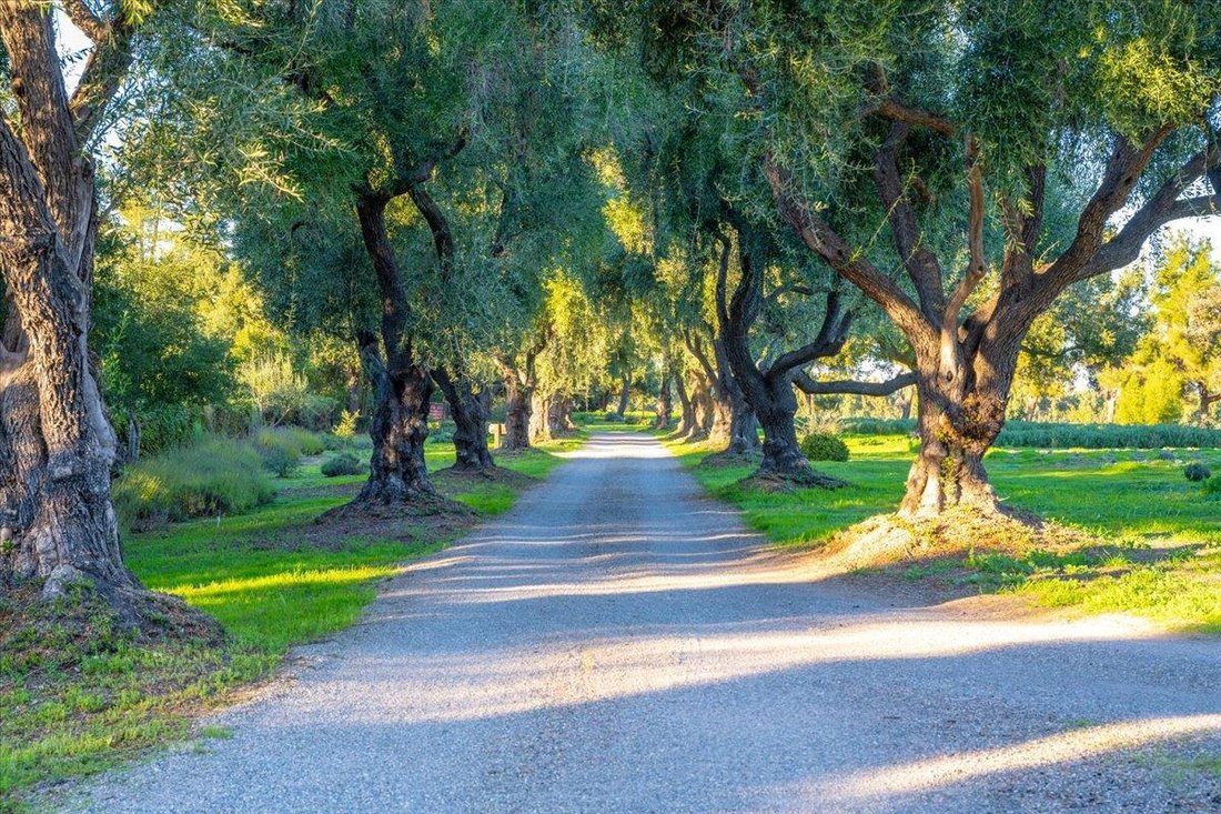 House in Santa Ynez, California, United States 5 - 18608694