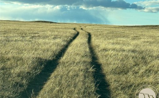 Farm Ranch in Roundup, Montana, United States 1