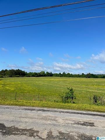 Land in Oneonta, Alabama, United States 5 - 18608957