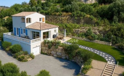 Villa in Nice, Provence-Alpes-Côte d'Azur, France 1