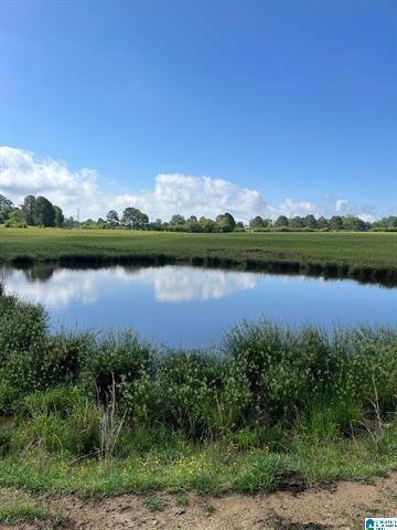 Land in Oneonta, Alabama, United States 1 - 18608957