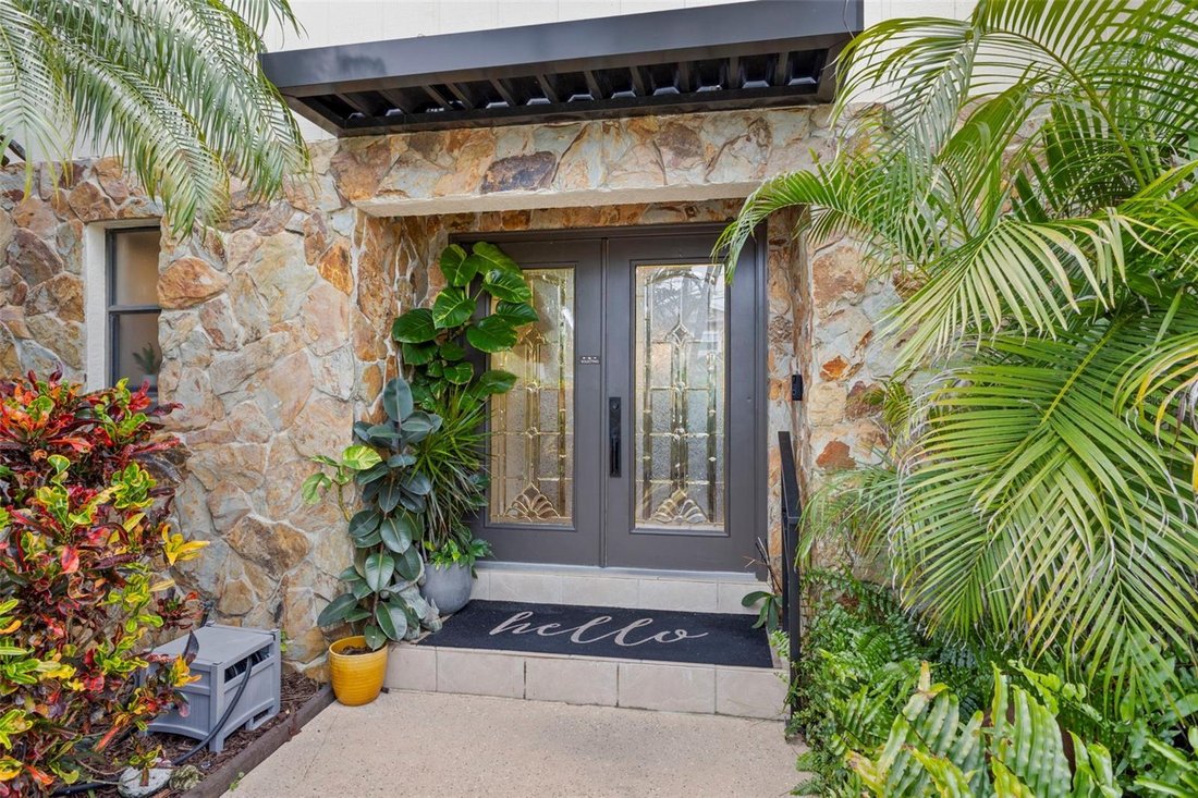 House in Palm Harbor, Florida, United States 5 - 18612615