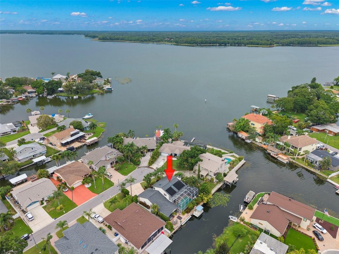 House in Palm Harbor, Florida, United States 1 - 18612615