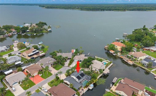 House in Palm Harbor, Florida, United States 1