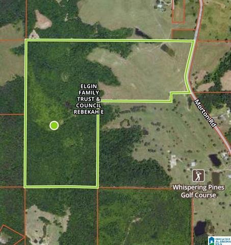 Land in Oneonta, Alabama, United States 3 - 18608957