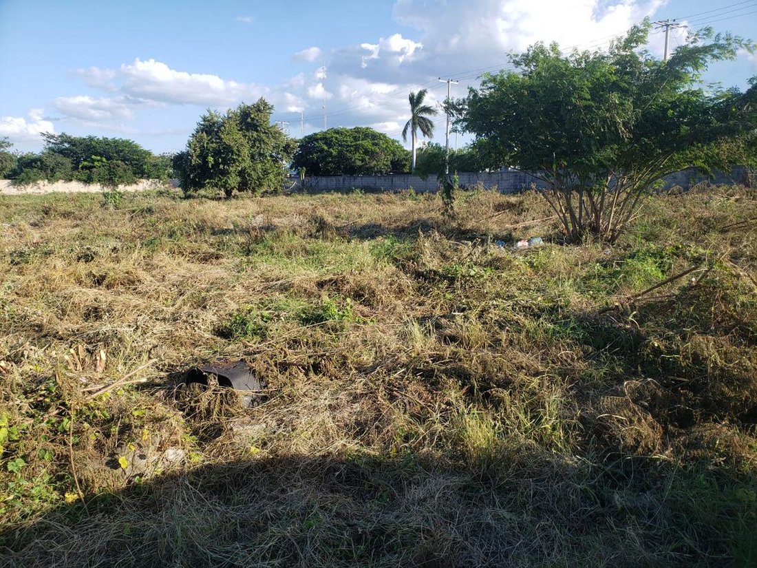 Land in Mérida, Yucatan, Mexico 4 - 18610498