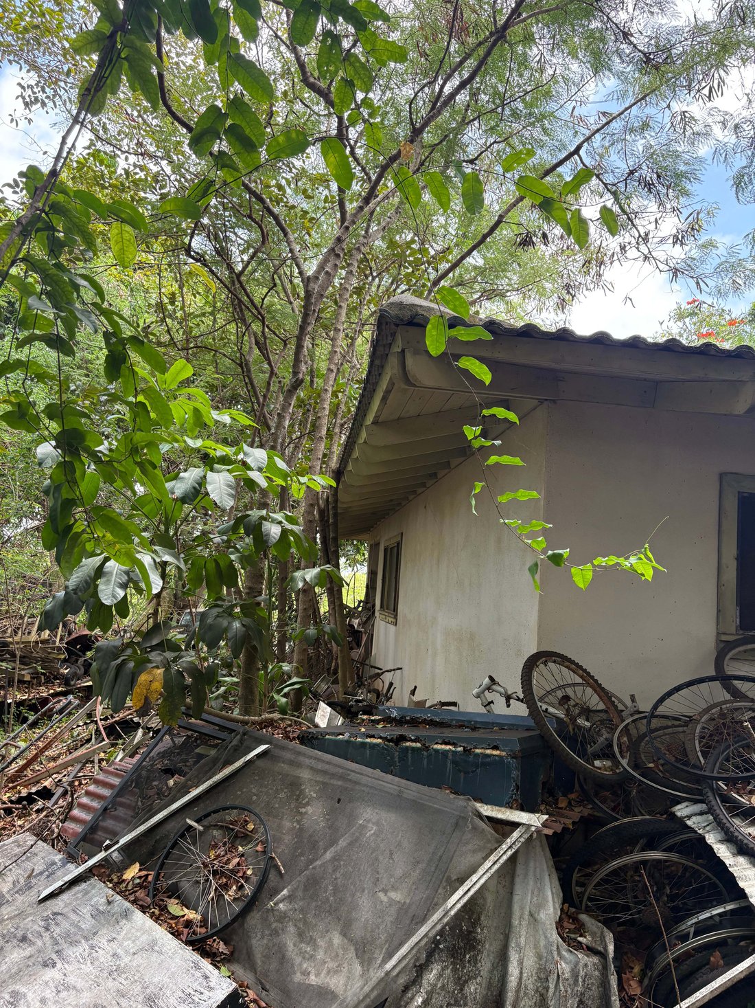 House in Kapaʻa, Hawaii, United States 5 - 18611571