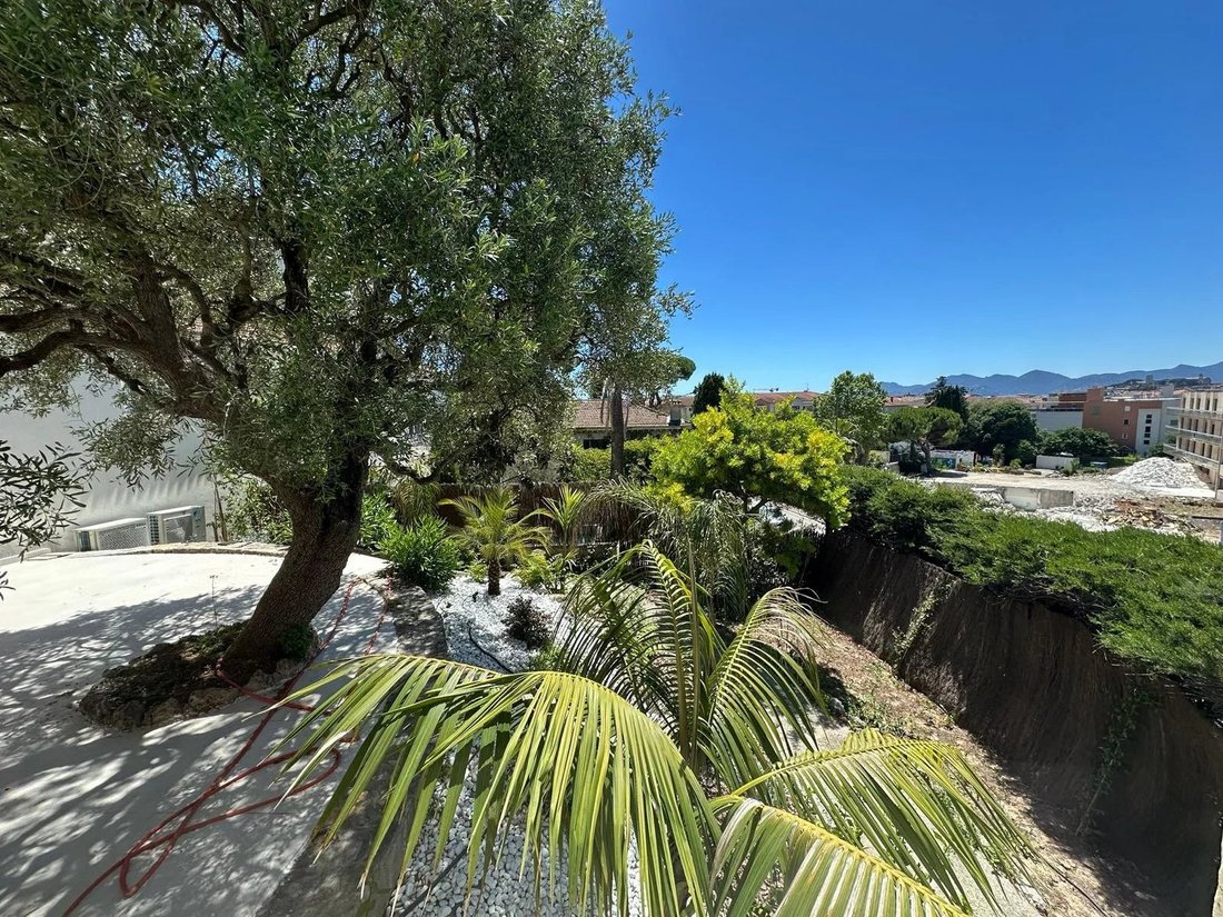 Wohnung in Montfleury, Cannes, Frankreich 4 - 18610956